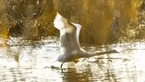 Zimowe jeziora przy Malinówce Wielkiej - zdjęcie 50