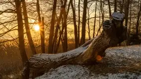 Wschód słońca nad jeziorem Niegocin w Wilkasach - zdjęcie 74