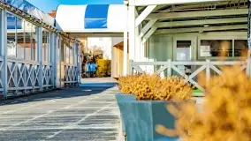 Zimowe Mikołajki, luty 2022 r. - zdjęcie 46