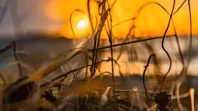 Zachód słońca nad jeziorem Niegocin, Bystry, luty 2021 - zdjęcie 30