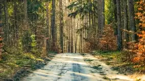 Wierzba i puszcza Piska, luty 2022 r. - zdjęcie 40