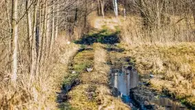 Wierzba i puszcza Piska, luty 2022 r. - zdjęcie 44