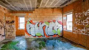 Ruiny pałacu z początku XX wieku w Notyście - zdjęcie 45