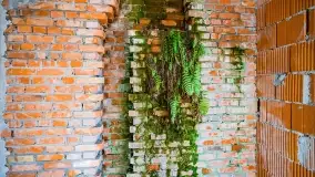 Ruiny pałacu z początku XX wieku w Notyście - zdjęcie 41