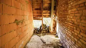 Ruiny pałacu z początku XX wieku w Notyście - zdjęcie 50