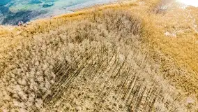 Jezioro Kirsajty i przedwiośnie - zdjęcie 12