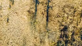 Jezioro Kirsajty i przedwiośnie - zdjęcie 36