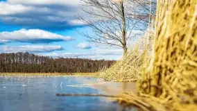 Jezioro Kirsajty i przedwiośnie - zdjęcie 48