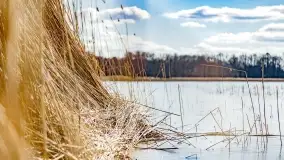 Jezioro Kirsajty i przedwiośnie - zdjęcie 14