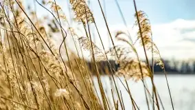 Jezioro Kirsajty i przedwiośnie - zdjęcie 9