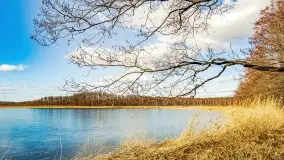 Jezioro Kirsajty i przedwiośnie - zdjęcie 31