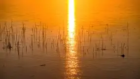 Zachód słońca nad jeziorem Kirsajty, marzec 2022 r. - zdjęcie 13