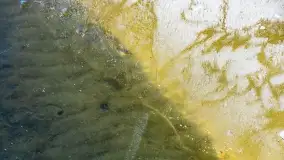 Przedwiośnie w porcie Nowy Harsz nad jeziorem Dargin - zdjęcie 12