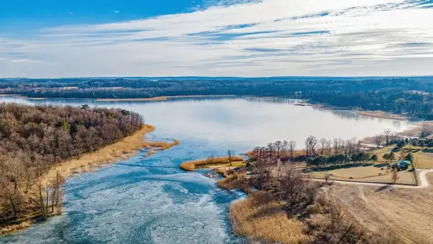 Jezioro Dobskie w okolicach Dziewiszewa, wyspa Gilma