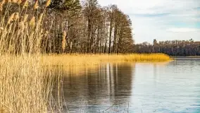 Jezioro Dobskie w okolicach Dziewiszewa, wyspa Gilma - zdjęcie 14