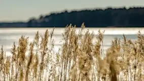 Przedwiośnie w Ełku, marzec 2022 r. - zdjęcie 75