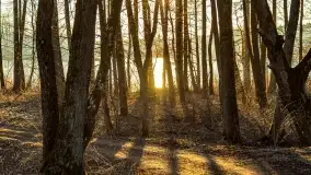 Zachód słońca nad jeziorem Krzywa Kuta - zdjęcie 30