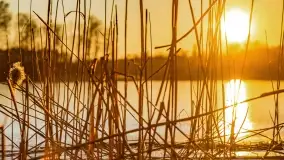 Zachód słońca nad jeziorem Krzywa Kuta - zdjęcie 6