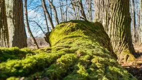 Mazury - inspiracja fotograficzna o każdej porze roku - zdjęcie 14