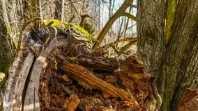 Mazury - inspiracja fotograficzna o każdej porze roku - zdjęcie 17