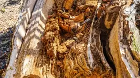 Mazury - inspiracja fotograficzna o każdej porze roku - zdjęcie 7