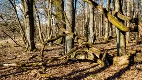 Mazury - inspiracja fotograficzna o każdej porze roku - zdjęcie 4
