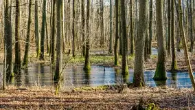 Mazury - inspiracja fotograficzna o każdej porze roku - zdjęcie 35