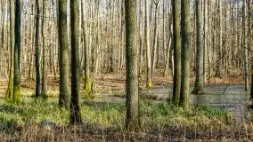 Mazury - inspiracja fotograficzna o każdej porze roku - zdjęcie 13
