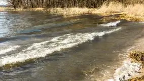 Wietrzny Dargin na początku wiosny - zdjęcie 3