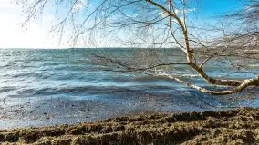 Wietrzny Dargin na początku wiosny - zdjęcie 32