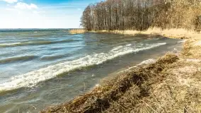 Wietrzny Dargin na początku wiosny - zdjęcie 44