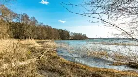 Wietrzny Dargin na początku wiosny - zdjęcie 35