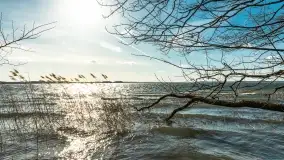 Wietrzny Dargin na początku wiosny - zdjęcie 29