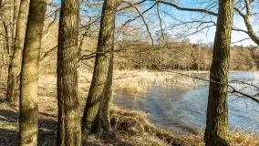 Wietrzny Dargin na początku wiosny - zdjęcie 24