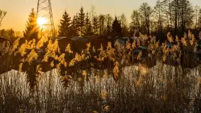 Garażowy zachód nad rzeką Pisa w Piszu - zdjęcie 30