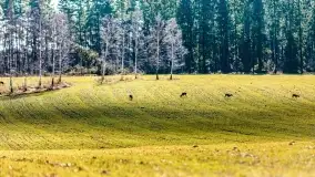 Mazury na niewykorzystanych ujęciach, styczeń - marzec 2022 - zdjęcie 12