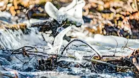 Mazury na niewykorzystanych ujęciach, styczeń - marzec 2022 - zdjęcie 50