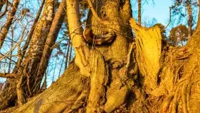 Zachód słońca nad jeziorem Kisajno, Zimny Kąt - zdjęcie 40