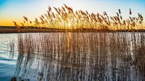 Zachód słońca nad jeziorem Kisajno, Zimny Kąt - zdjęcie 35