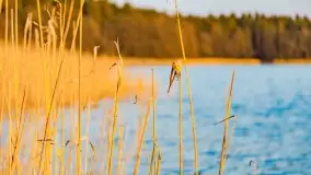 Zachód słońca nad jeziorem Wydmińskim, marzec 2022 - zdjęcie 31