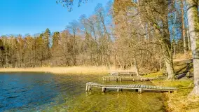 Binduga Zimny Kąt na początku wiosny 2022 - zdjęcie 34