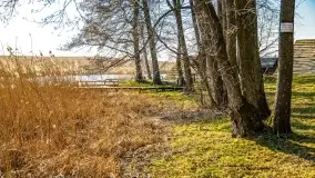 Binduga Zimny Kąt na początku wiosny 2022 - zdjęcie 33