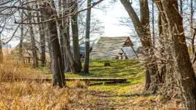 Binduga Zimny Kąt na początku wiosny 2022 - zdjęcie 37