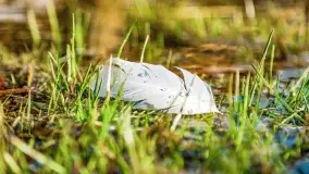 Binduga Zimny Kąt na początku wiosny 2022 - zdjęcie 32