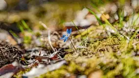 Jezioro Ołów w pierwszych dniach wiosny - zdjęcie 8