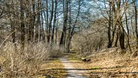 Jezioro Ołów w pierwszych dniach wiosny - zdjęcie 62