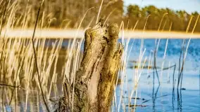 Jezioro Ołów w pierwszych dniach wiosny - zdjęcie 60