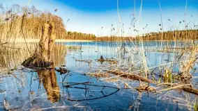 Jezioro Ołów w pierwszych dniach wiosny - zdjęcie 30