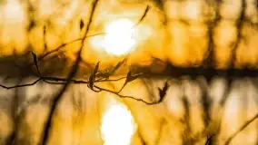 Wschód słońca przy wyspie Wydmińskiej, kwiecień 2022 r. - zdjęcie 16