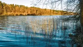 Wschód słońca przy wyspie Wydmińskiej, kwiecień 2022 r. - zdjęcie 31